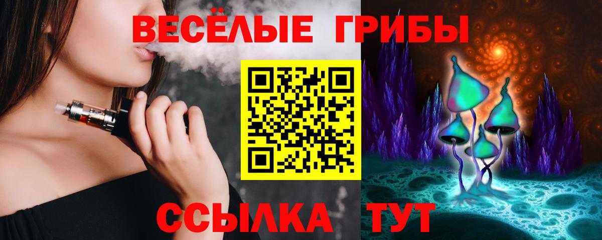 купить   Псилоцибиновые грибы Magic Shrooms  Вход с VPN  Астрахань 